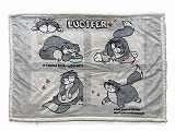 2026LUひざ.jpg